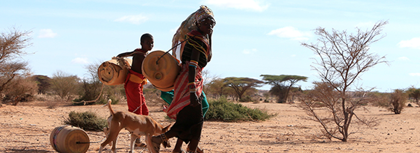 Drought devastates pastoralist community in Marsabit
